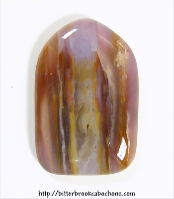 Petrified Wood