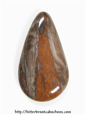 Petrified Wood