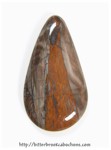 Petrified Wood Petrified Wood