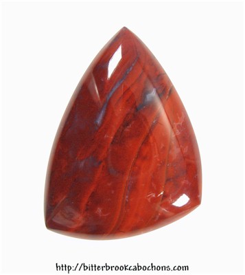 Petrified Wood