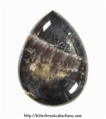 Petrified Wood
