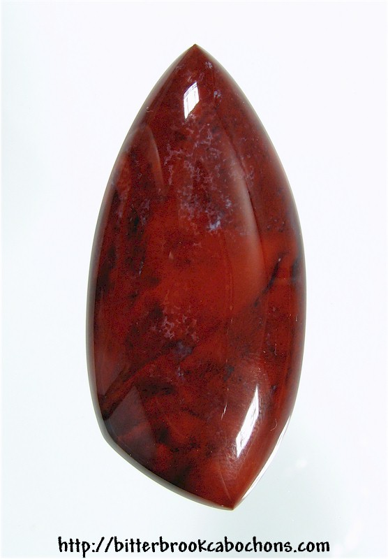 Petrified Wood