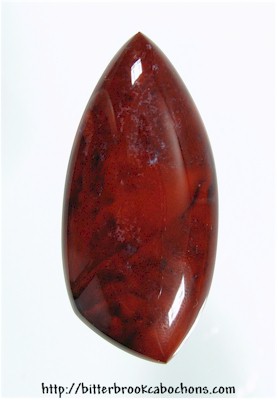 Petrified Wood