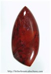 Petrified Wood Petrified Wood