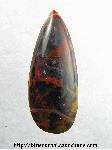 Petrified Wood Cabochon Petrified Wood Cabochon