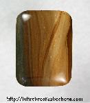 Petrified Wood Cabochon