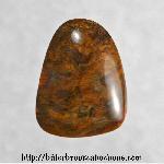 Petrified Wood Cabochon