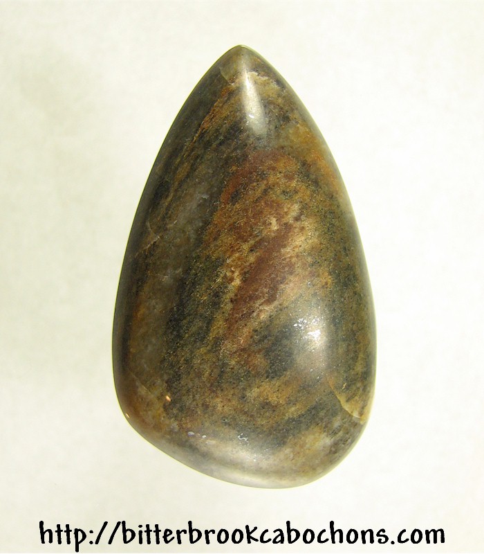 Petrified Wood Cabochon