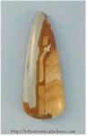 Picture Jasper