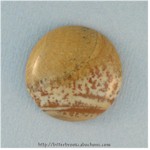 Picture Jasper