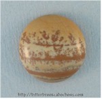 Picture Jasper