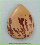 Picture Jasper