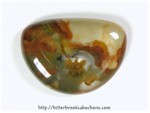 Picture Jasper