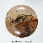 Picture Jasper Cabochon