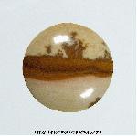 Picture Jasper Cabochon