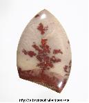 Picture Jasper Cabochon