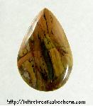 Picture Jasper Cabochon