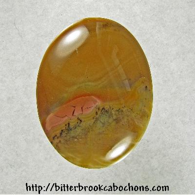 Picture Jasper Cabochon