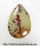 Picture Jasper Cabochon