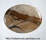 Picture Jasper Cabochon Picture Jasper Cabochon