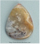 Plume Agate