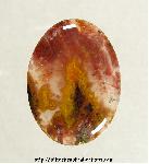 Plume Agate Cabochon