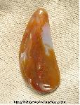 Plume Agate Cabochon