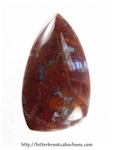 Plume Agate Cabochon