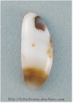 Polkadot Jasper Polkadot Jasper