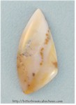 Polkadot Jasper Polkadot Jasper