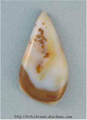 Polkadot Jasper