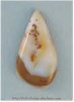 Polkadot Jasper Polkadot Jasper