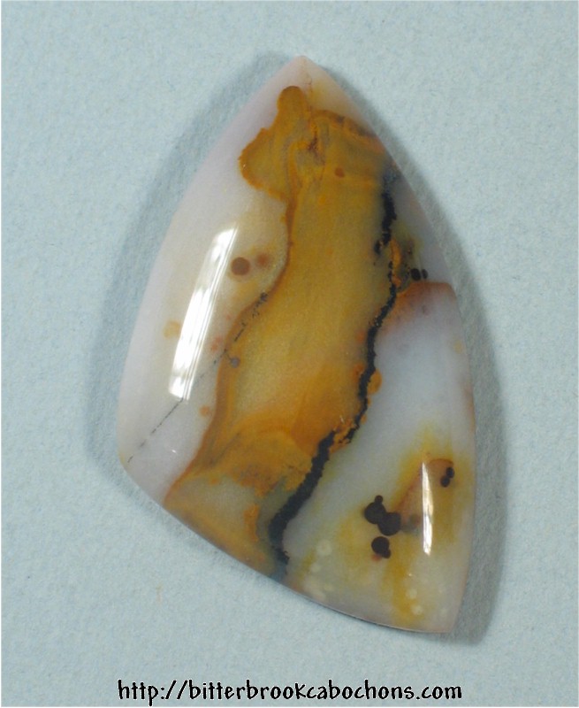 Polkadot Jasper