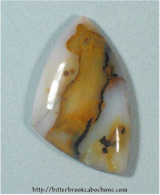 Polkadot Jasper