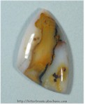Polkadot Jasper Polkadot Jasper