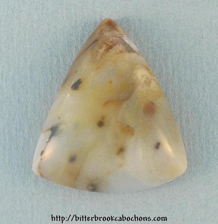 Polkadot Jasper