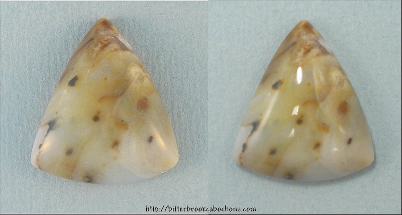 Polkadot Jasper
