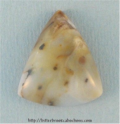 Polkadot Jasper