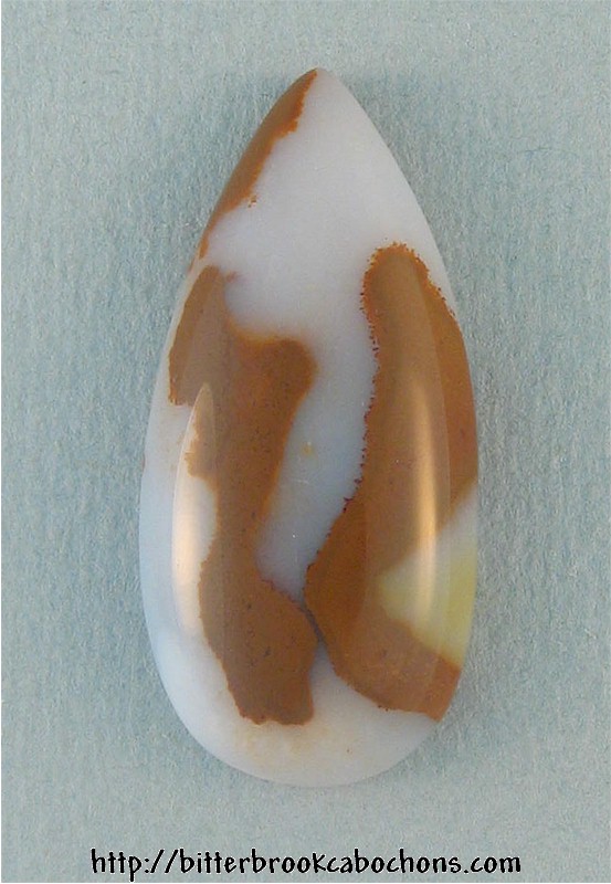 Polkadot Jasper