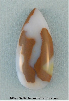 Polkadot Jasper