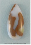Polkadot Jasper Polkadot Jasper