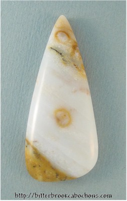 Polkadot Jasper