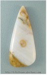 Polkadot Jasper Polkadot Jasper