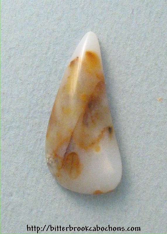 Polkadot Jasper