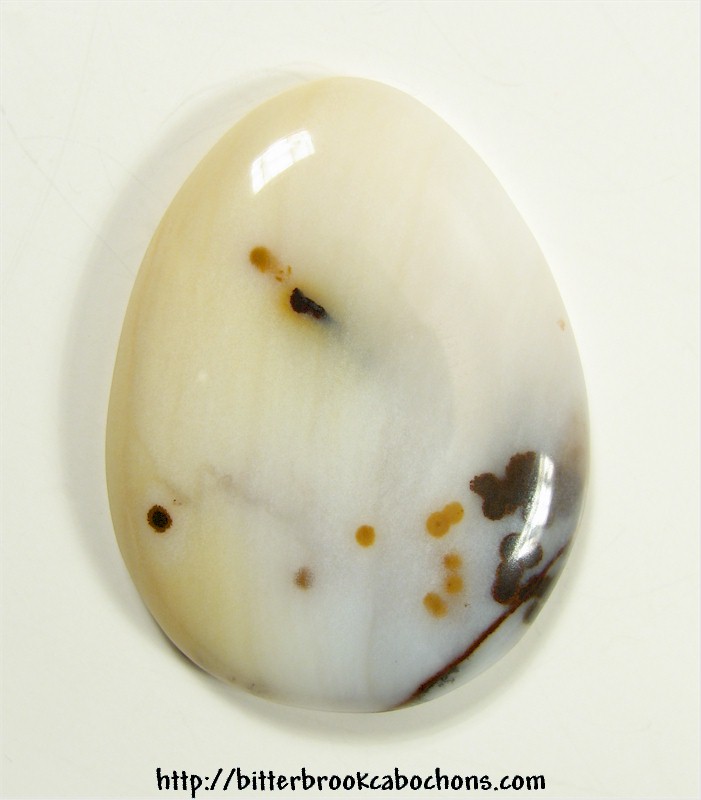 Polkadot Jasper