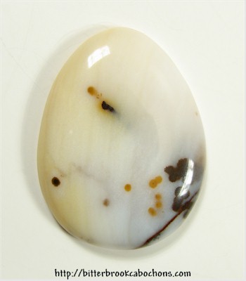 Polkadot Jasper