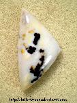 Polkadot Jasper Cabochon