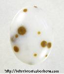 Polkadot Jasper Cabochon