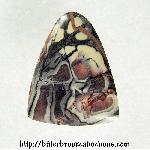 Porcelain Jasper Cabochon