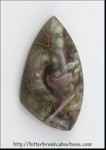 Rainforest Jasper Rainforest Jasper